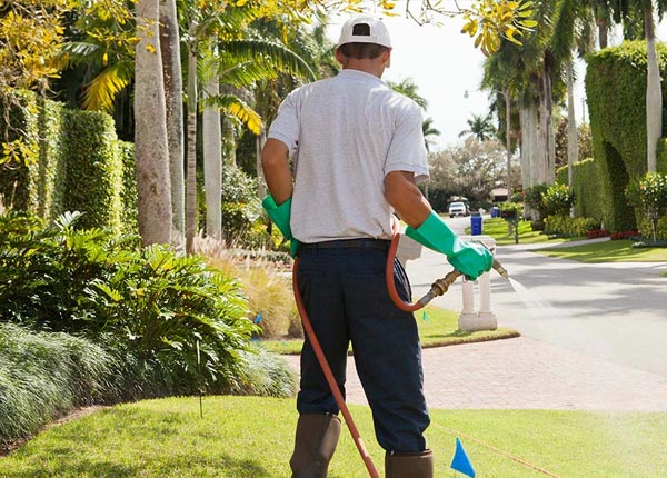 About Claridge PA Pest Control